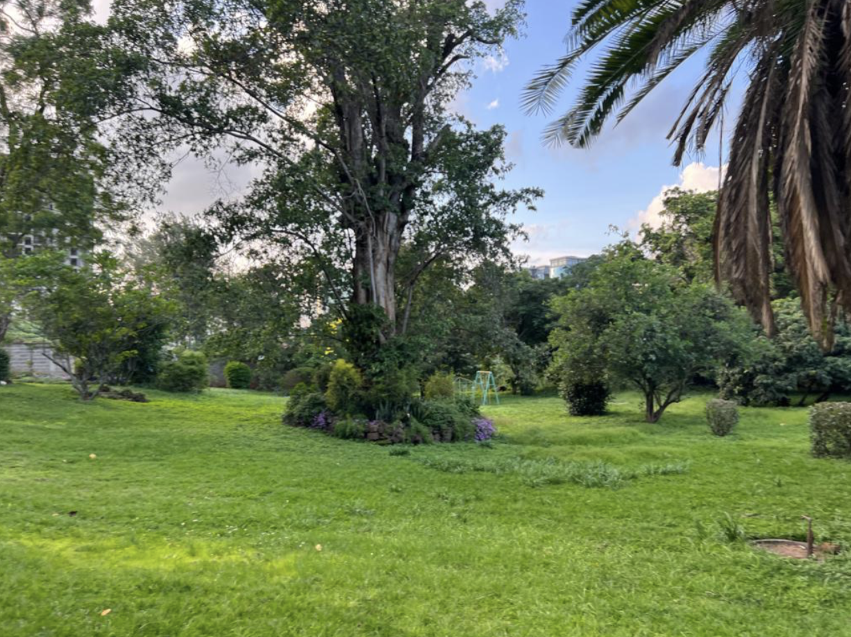2.6-Acre Commercial Property